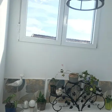 A Castelana De 度假居 Cea